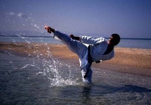 Martial Arts